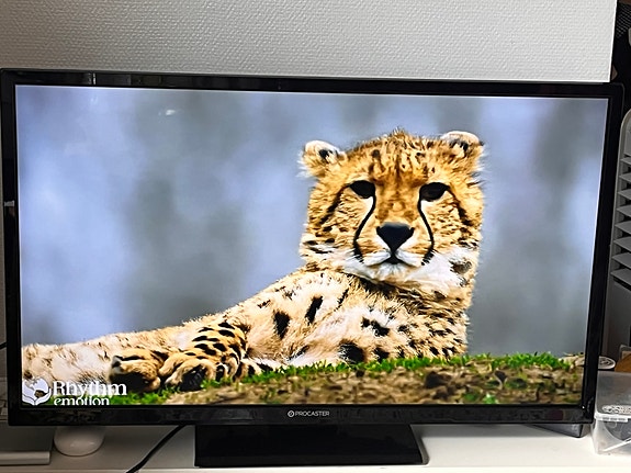 ProCaster LE-32F531H 32" HD