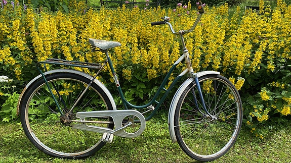 Jupiter mummopyörä / mummis 28" renkailla