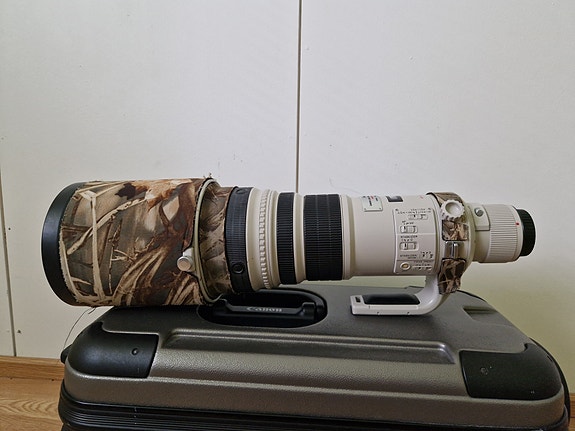 Canon EF 500 mm F4 L IS USM