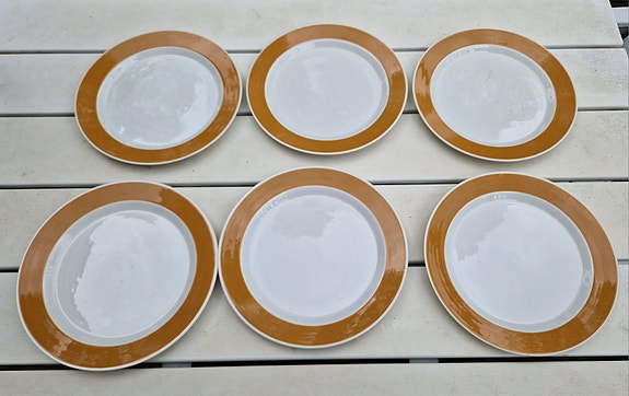 Arabia Aprikoosi lautaset 23 cm