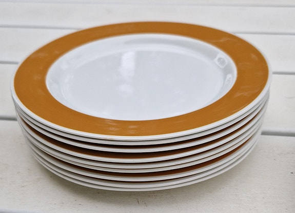 Arabia Aprikoosi lautaset 20 cm