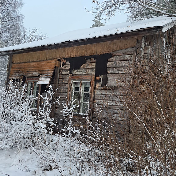 Hirsikehikko