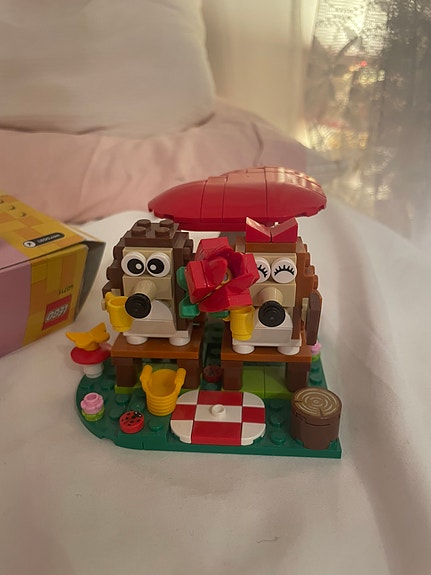 Siilien eväsretki lego
