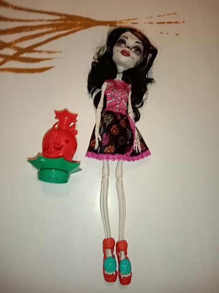 Monster high skelita