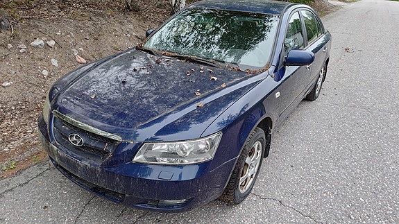 Hyundai Sonata 2010 osina