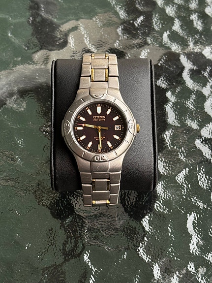 Citizen Eco-Drive Titanium Watch (E110)