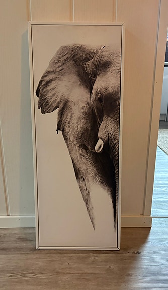 Canvas-taulu