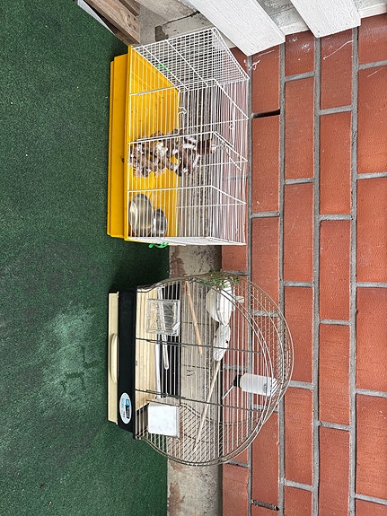 Product image 1 of 10