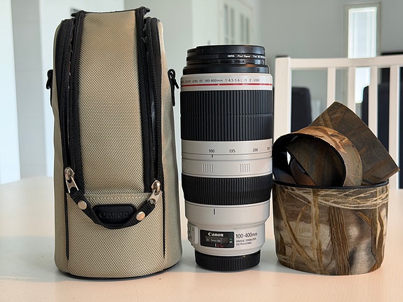 Canon 100-400mm f4.5-5.6 L IS II USM