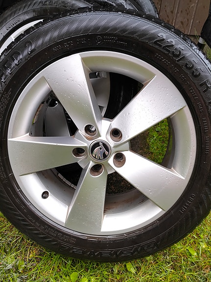 Skoda vanteet kesärenkailla