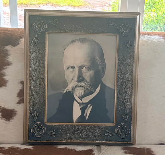 Suomen presidentit Kallio ja Svinhufvud, Itsenäisyyssenaatti