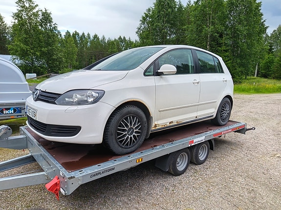 vw golf plus v osina