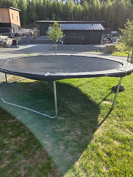 Trampoliini