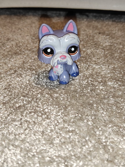 Lps Terrieri #2260