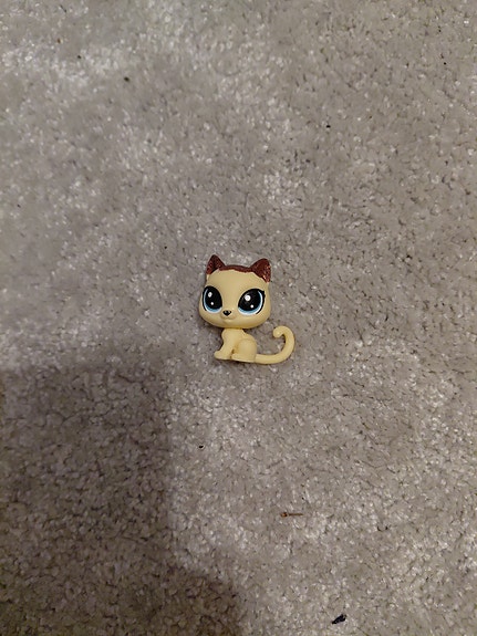 Lps kissa