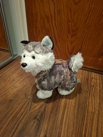 Husky pehmolelu