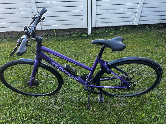 Naisten Tunturi RX500 hybridipyörä