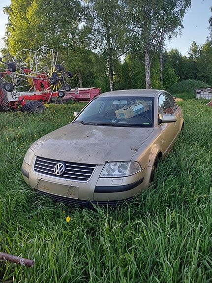 Volkswagen Passat b5.5 3bg osina