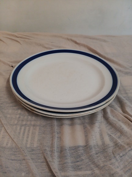 Arabian Aino sarjan matalat lautaset 4kpl