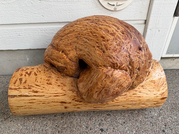 Puinen koriste-esine / veistos, koivu pahka.