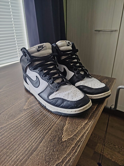 Nike dunk high