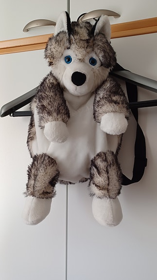 Husky reppu