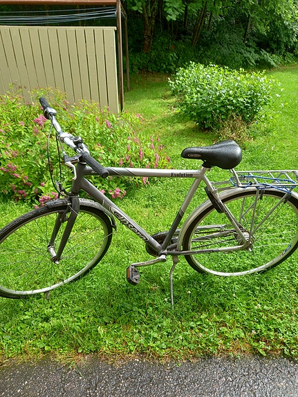 Pyörä insera