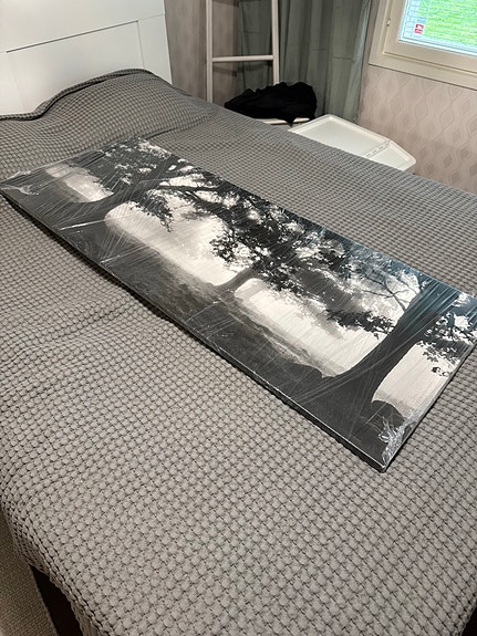 IKEA PJÄTTERYD taulu maisemakuva 140x56 cm