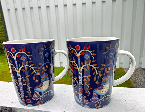 Iittala Taika mukit