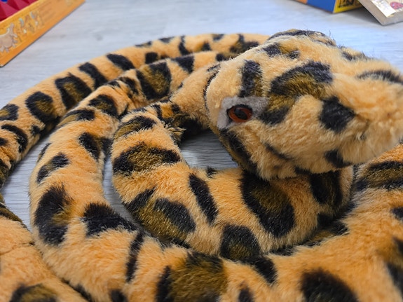 Python käärme, turvallinen