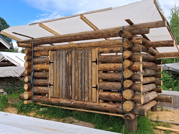 Rakoliiteri
