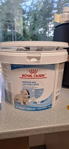 Royal Canin Babydog Milk pentujen maitojauhe / korvike ja tuttipullot