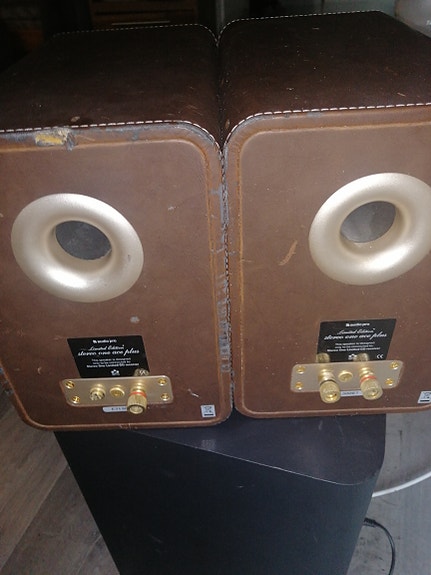 Audio pro ace-bass