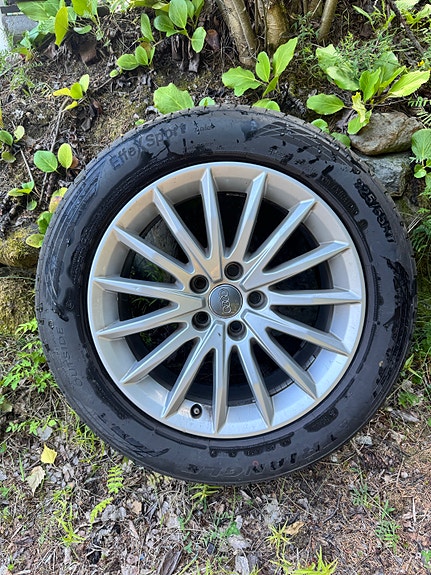 Audi vanteet kesärenkailla