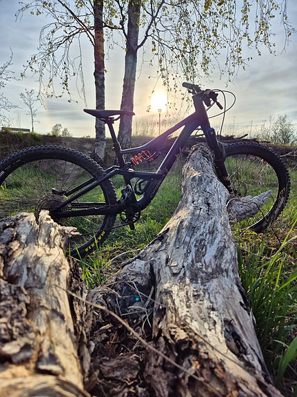 Orbea Occam H30 LT Custom