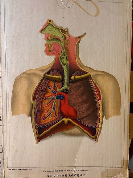 Opetustaulu