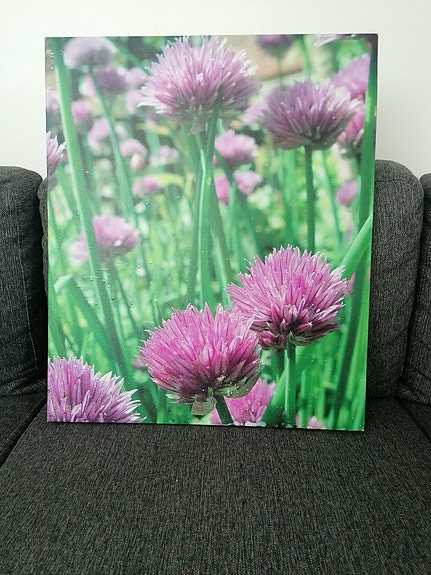 Kukkataulu canvas-painatus