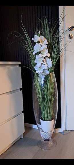 Tekokasvi korkessa lasimaljakkossa