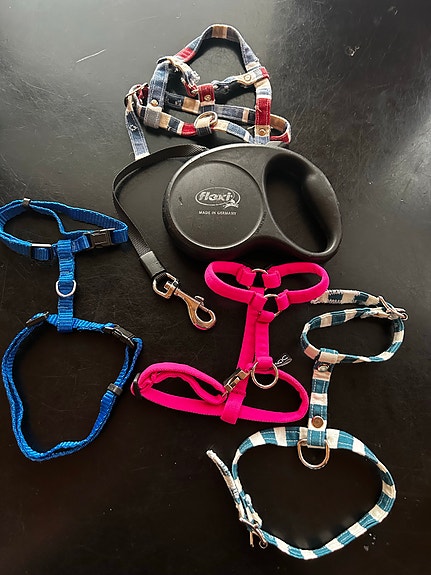 Valjaita ja flexi
