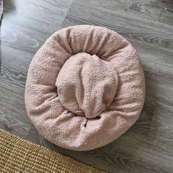 Koiran peti