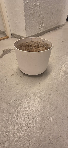 valkoinen ruukku