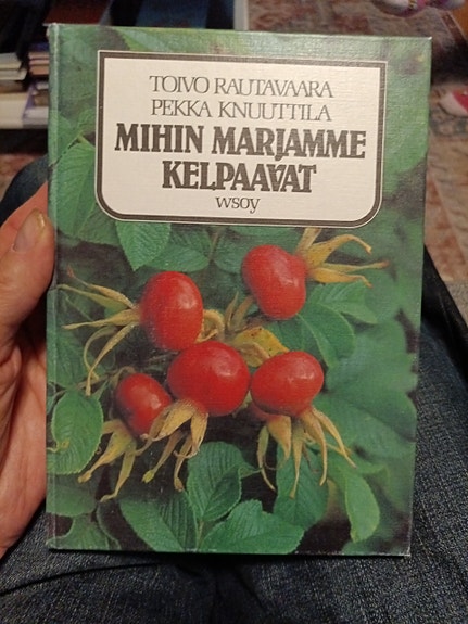 Toivo Rautavaara & Pekka Knuuttila: Mihin marjamme kelpaavat