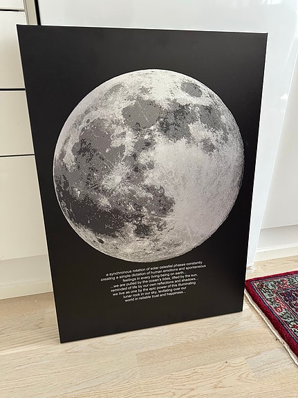 IKEA PJÄTTERYD taulu