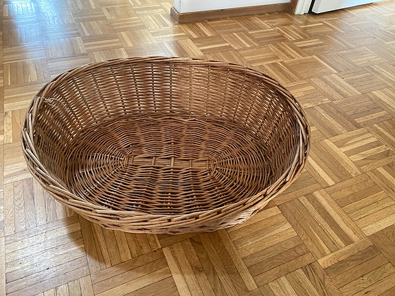 Iso punottu kori
