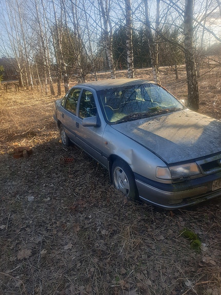 Opel osina