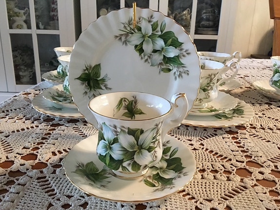 Royal Albert  Trillium