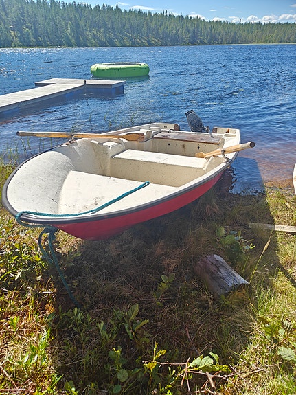 Moottorivene