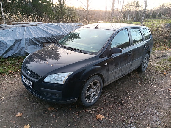 Ford Focus osina
