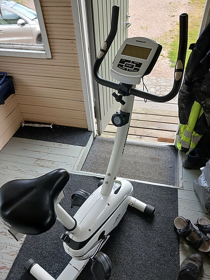 Kuntopyörä karhu
