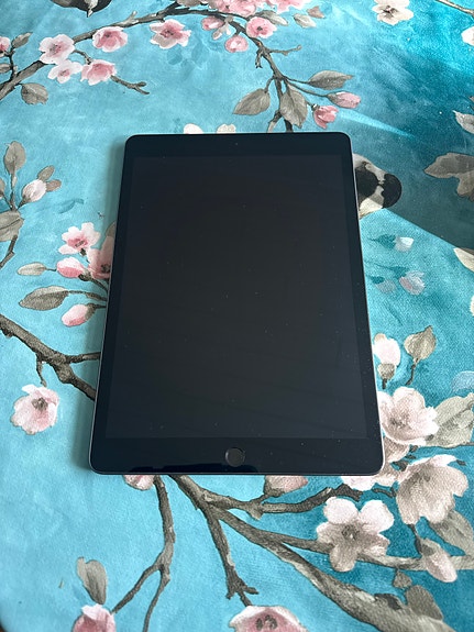 IPad 7 Wi-Fi + Cellular